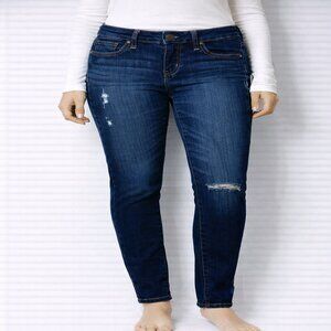 American Eagle Stretch Distressed Jegging Size 2 Dark Wash Skinny Denim‎